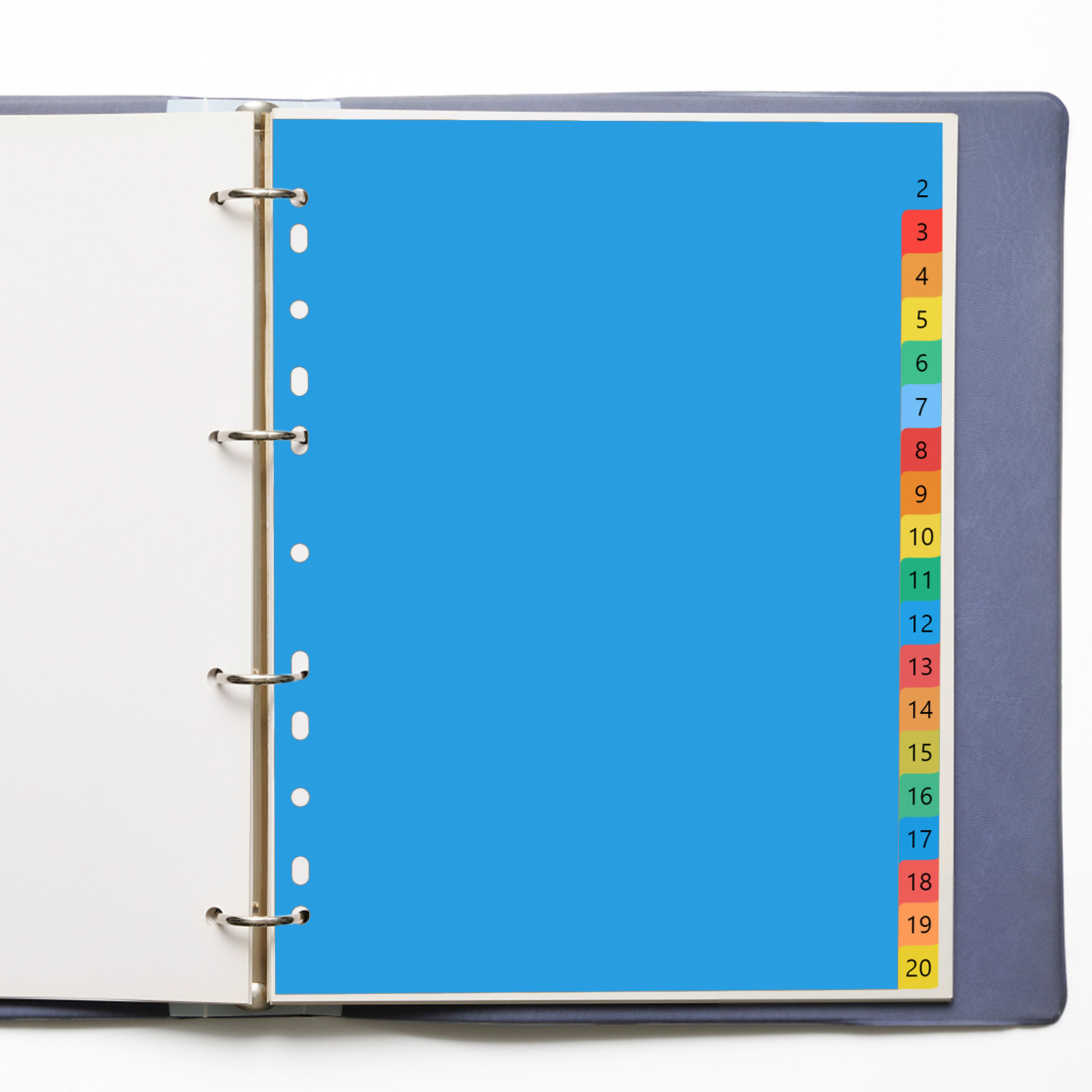 20ページA4カラフルプラスチックタブディバイダー、インデッ - Tab Divider A4 のレビューと価格